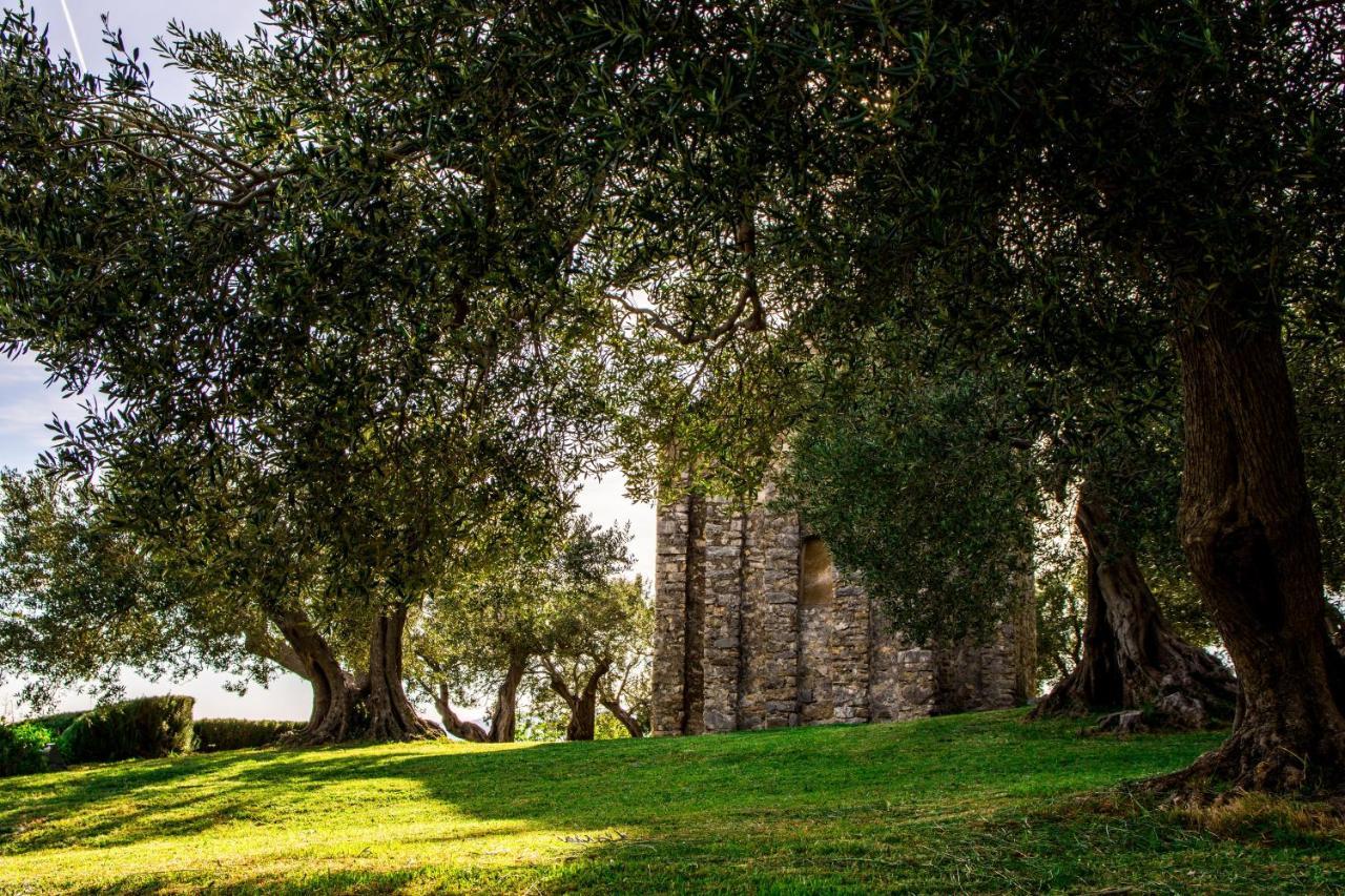 Plum Holiday home